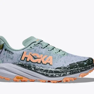 Women's Speedgoat 6 GTX